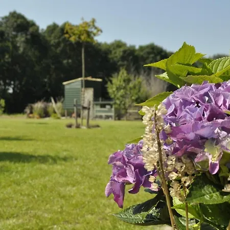 De Logerie Bed and breakfast 4*