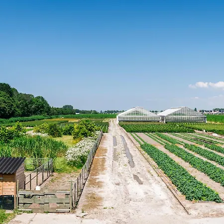 De Logerie Bed & Breakfast 4*